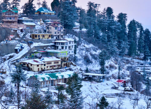 Shimla, Manali